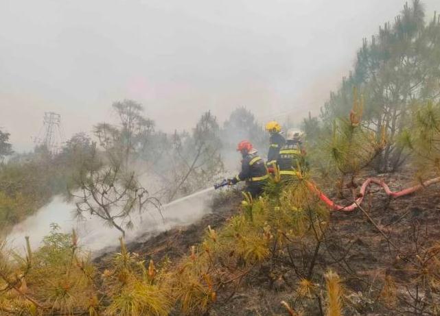 众志成城 鏖战江川 珠源“火焰蓝”增援扑救 “4•11”玉溪江川森林火灾战记